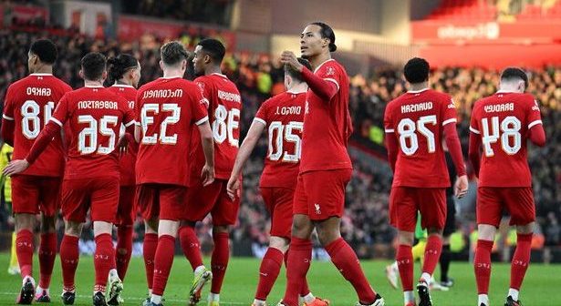 Virgil van Dijk celebrates after scoring for Liverpool against Norwich City