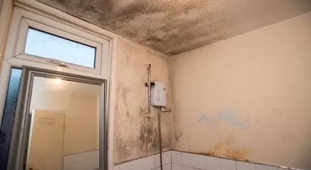 A mouldy rented house in Liverpool