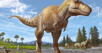 Tyrannosaurus Rex relative