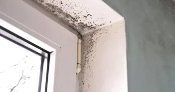 Damp and mould in homes were branded a 'disgrace'