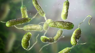 illustration of rod-shaped, green bacteria on a cloudy background
